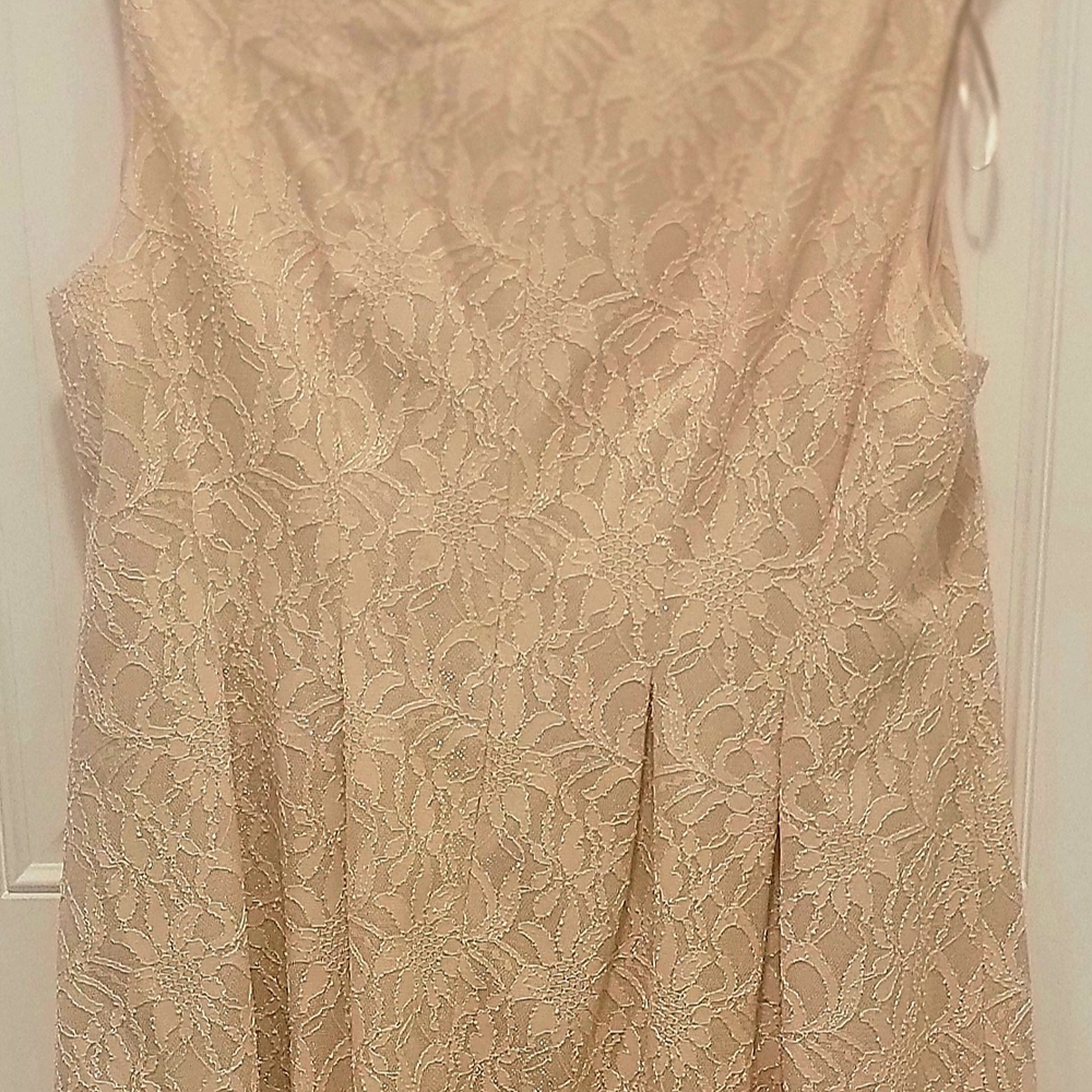 Elegant Lace Sleeveless Dress